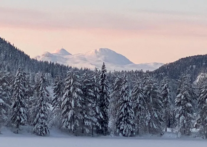 Tuddal Hyttegrend, Gamlestugu, Telemark