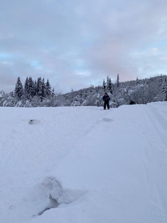 Hyttegrend, Gamlestugu, Telemark