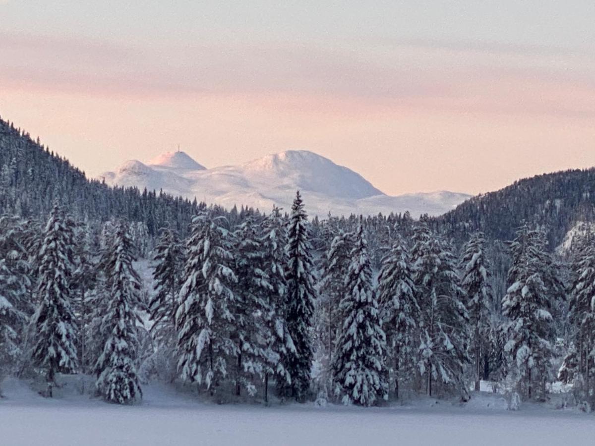 Hyttegrend, Gamlestugu, Telemark Сasa de vacaciones